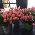 250 roses for mother's day 2015